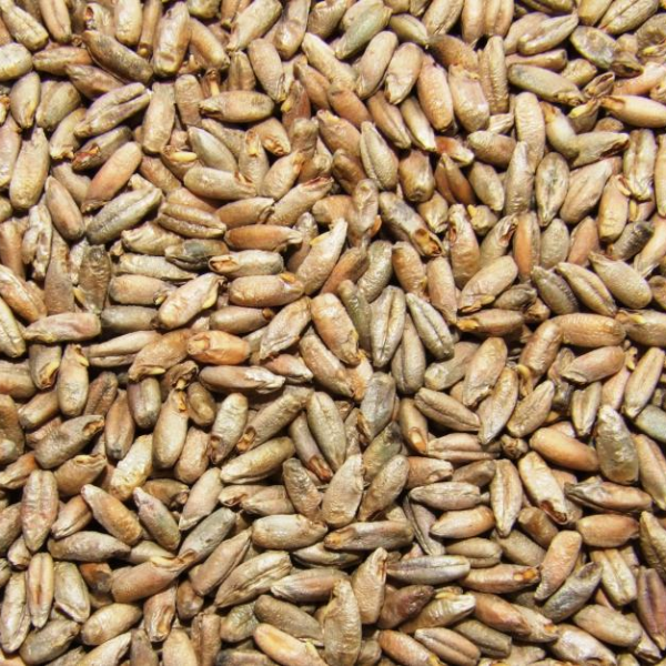 Ячменный концентрат №10 светлый (ПЕК) "ТКП"