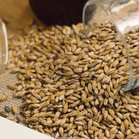 Солод Ячменный светлый Пэйл Эль 25 кг