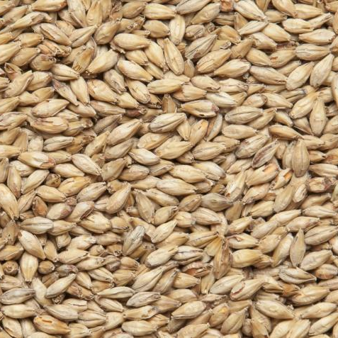 Солод Ячменный специальный Мюнхенский 2 тип 25 кг