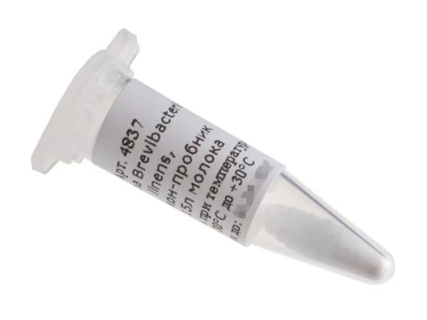 Закваска для сыра Brevibacterium linens, флакон на 15 литров молока (Здоровеево)