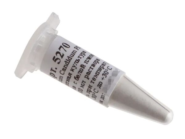 Культура белой плесени для сыра Penicillium Candidum PSM2, флакон на 500 мл раствора (Здоровеево). Культура белой плесени для сыра Penicillium Candidum PSM2, флакон на 500 мл раствора (Здоровеево).