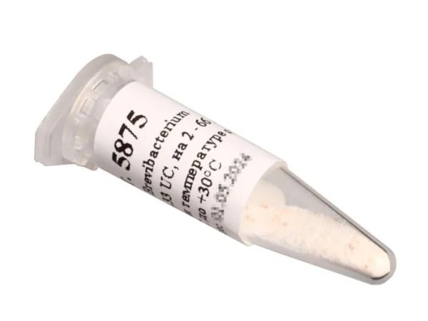 Культура Brevibacterium linens CLO 0,33 UC, на 2 - 66 л (Здоровеево) Культура Brevibacterium linens CLO 0,33 UC, на 2 - 66 л (Здоровеево)