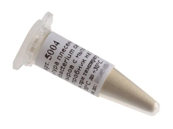 Культура плесени Corynebacterium casel для сыров с мытой коркой, на 30 л. раствора (Здоровеево) к Культура плесени Corynebacterium casel для сыров с мытой коркой, на 30 л. раствора (Здоровеево) к